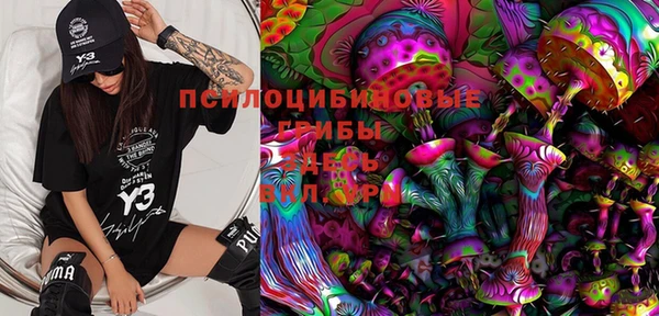 стафф Магадан