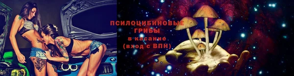 дурь Лиски