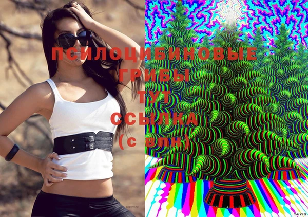 дживик Липки