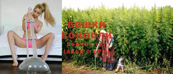 дурь Лиски