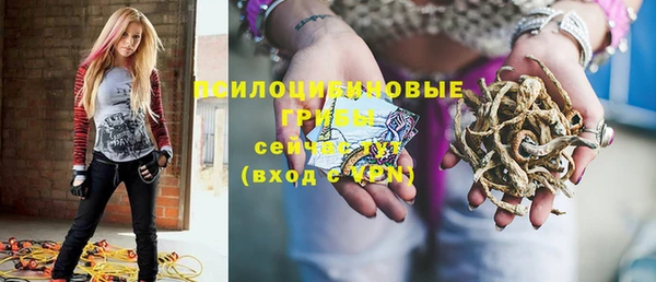 дживик Липки