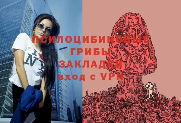 дживик Липки