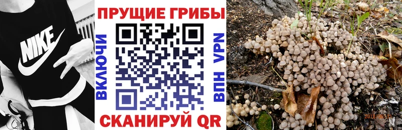 Галлюциногенные грибы мухоморы  Новотитаровская 