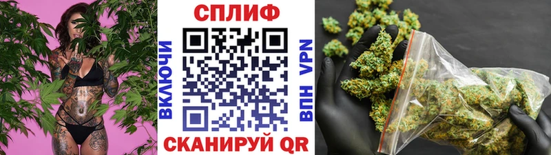 МЕГА ссылка  Новотитаровская  Шишки марихуана гибрид 